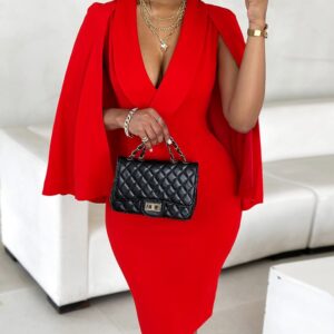 Cape Sleeve Shawl Collar Work Dress